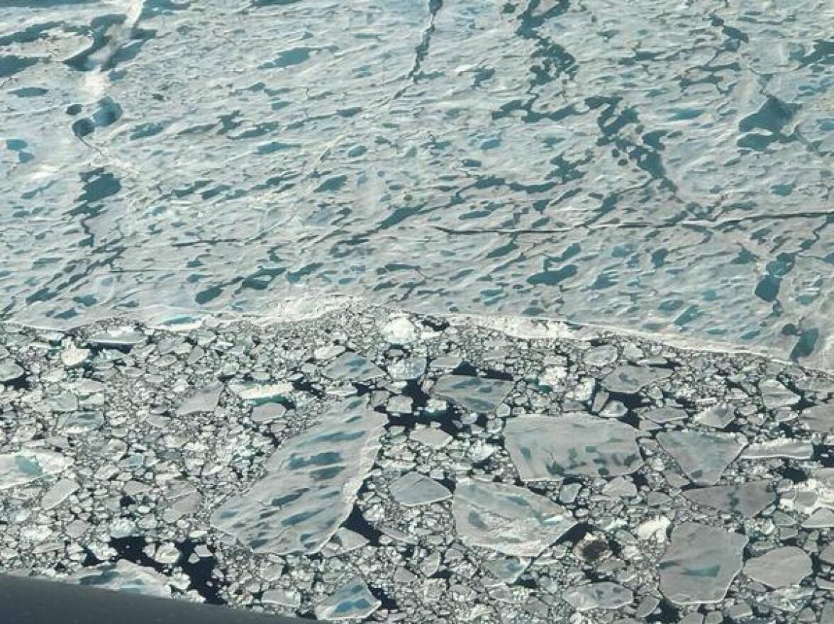 Melt ponds dot a stretch of sea ice in the Arctic Ocean, north of Greenland. 